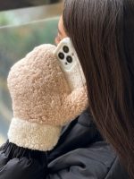 قاب دستکش زمستونی (کدC1553) - تصویر 4